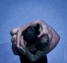 rvny No.3 - 57 (Magyar Nemzeti Balett) - Zene: Philip Glass - Koreogrfia: Lukcs Andrs - (Tnc Fot)