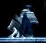 rvny No.3 - 74 (Magyar Nemzeti Balett) - Zene: Philip Glass - Koreogrfia: Lukcs Andrs - (Modern Tnc Fot)