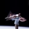 InMotion (On The Nature Of Daylight) - InMotion (On The Nature Of Daylight) 09 - Ballet Pictures Ballet Photo