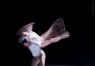 InMotion (On The Nature Of Daylight) - InMotion (On The Nature Of Daylight) 16 - Ballet Pictures Ballet Photo