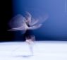 InMotion (Speed) No. 3 - 58 - A visual study of the dynamic of movements in dance, not in a static way but trying to show the progression and directions of the movements from a start point to an end. - ﻿Ballet Photos Ballet Photo