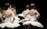 Back Stage - Swan Lake Rehearsal - 14  -  (Classical Ballet Photography) Ballet Photo