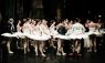 Back Stage - Swan Lake Rehearsal - 15  -  (Classical Ballet Photography) Ballet Photo