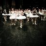 Back Stage - Swan Lake Rehearsal - 17  -  (Classical Ballet Photography) Ballet Photo