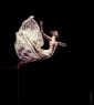 Visions Series 1 - Oblivion - Dancer: Pap Zsuzsanna - Ballet Photography Ballet Photo