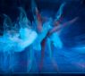 PHOTO: 1499 Title: SwansVisions - InMotion Series - Cuban National Ballet - Ballet Photos