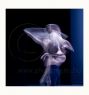 PHOTO: 1585 Title: InMotion 08 - ﻿(Print Available on Hahnemhle 100% Cotton Matte Paper) - Fine Art Print