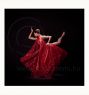 Fine Art Prints - Zsofia - ﻿(Print Available on Hahnemhle 100% Cotton Matte Paper) - Fine Art Print Ballet Photo