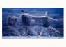 Fine Art Prints - InMotion 05 - ﻿(Print Available on Hahnemhle 100% Cotton Matte Paper) - Fine Art Print Ballet Photo