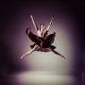 Dance - Group No. 2 - 'Sublime' - Dancer: Kristf Morvai - Hungarian National Ballet - ©Andrea Paolini Merlo - Ballet Dancer Jumping above Ballet Photo
