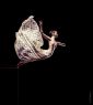 Dance - Group No.3 - Oblivion - Dancer: Pap Zsuzsanna - Dance Photography Ballet Photo