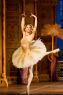 Bayadere No.3 - Bayadere 64 - Anna Tsygankova - (Ballerina Photos) Ballet Photo