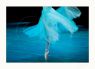 Fine Art Prints - InBlue 1 - (Print Available on Hahnemhle 100% Cotton Matt Paper) - Fine Art Print Ballet Photo