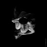 Unveil - Dance No.1 - 'Folded Couple' (From the 'Folded' series) Ballet Photo